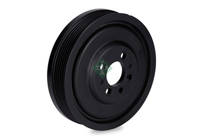 INA 544 0163 10 EAN: 4014870558499.