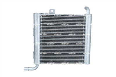 NRF 550176 EAN: 8718042346865.