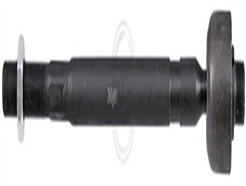 A.B.S. 240461