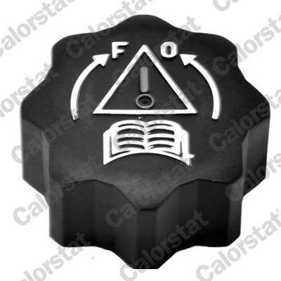 CALORSTAT by Vernet RC0021 EAN: 3531650022632.