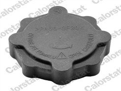 CALORSTAT by Vernet RC0025