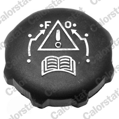 CALORSTAT by Vernet RC0077 EAN: 3531650023172.