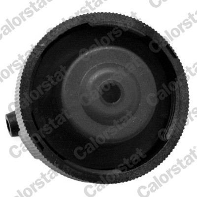 CALORSTAT by Vernet RC0085 EAN: 3531650027941.