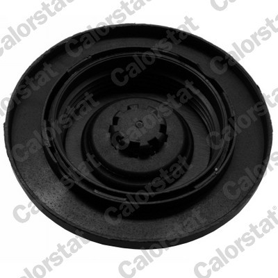 CALORSTAT by Vernet RC0159 EAN: 3531650034390.