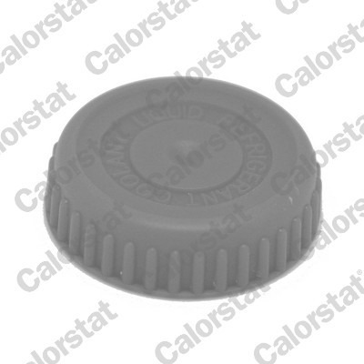 CALORSTAT by Vernet RC0188