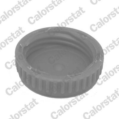 CALORSTAT by Vernet RC0188