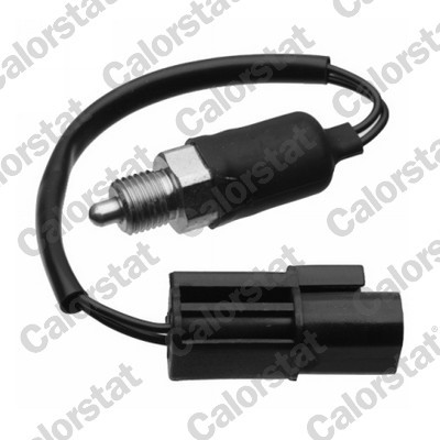 CALORSTAT by Vernet RS5595 EAN: 3531650033010.