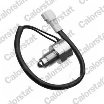 CALORSTAT by Vernet RS5599 EAN: 3531650033041.