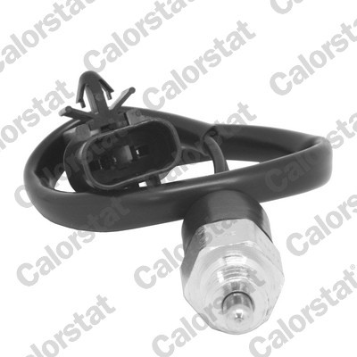 CALORSTAT by Vernet RS5602 EAN: 3531650033065.