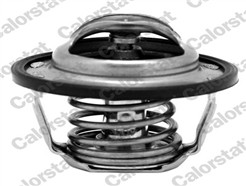 CALORSTAT by Vernet TH6883.82J