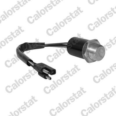 CALORSTAT by Vernet TS1956 EAN: 3531650011193.