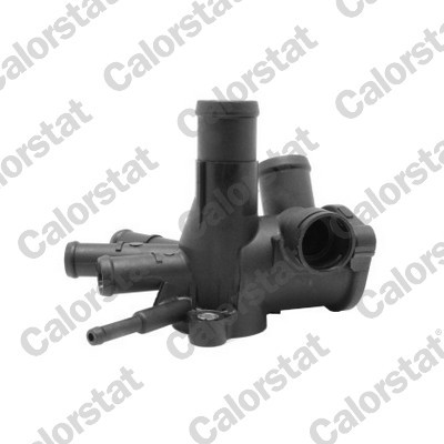CALORSTAT by Vernet WF0005 EAN: 3531650029501.