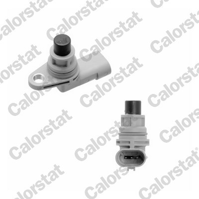 CALORSTAT by Vernet CS0289 EAN: 3531650039012.