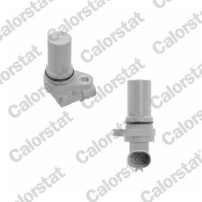 CALORSTAT by Vernet CS0312 EAN: 3531650039241.