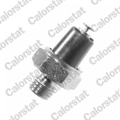 CALORSTAT by Vernet OS3535 EAN: 3531650013456.