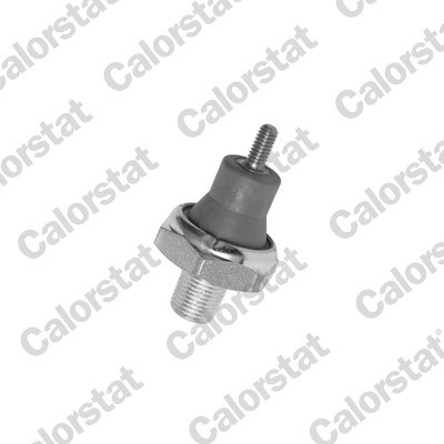CALORSTAT by Vernet OS3545 EAN: 3531650013548.