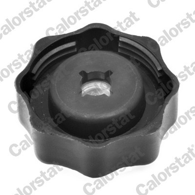 CALORSTAT by Vernet RC0010 EAN: 3531650022526.