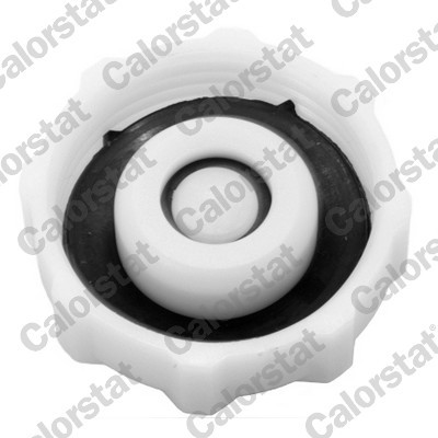 CALORSTAT by Vernet RC0017 EAN: 3531650022595.
