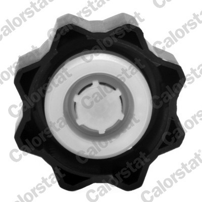 CALORSTAT by Vernet RC0029 EAN: 3531650022717.