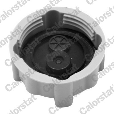 CALORSTAT by Vernet RC0038 EAN: 3531650022793.