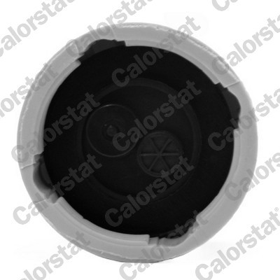 CALORSTAT by Vernet RC0039 EAN: 3531650022809.