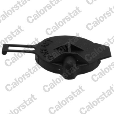 CALORSTAT by Vernet RC0170 EAN: 3531650042722.