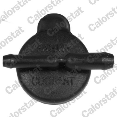 CALORSTAT by Vernet RC0204 EAN: 3531650042791.
