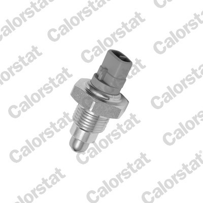 CALORSTAT by Vernet RS5554 EAN: 3531650015122.