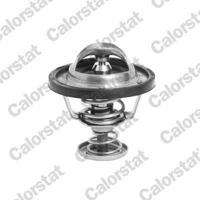 CALORSTAT by Vernet TH6295.82J EAN: 3531650007554.