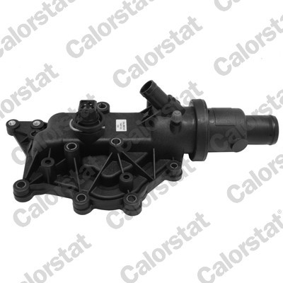CALORSTAT by Vernet TH6971.83J EAN: 3531650041671.