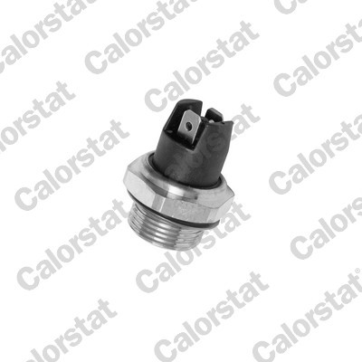 CALORSTAT by Vernet TS1322 EAN: 3531650010776.