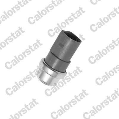 CALORSTAT by Vernet TS2674 EAN: 3531650012596.