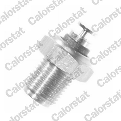 CALORSTAT by Vernet WS2521 EAN: 3531650011452.