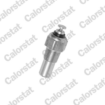 CALORSTAT by Vernet WS2546 EAN: 3531650011681.