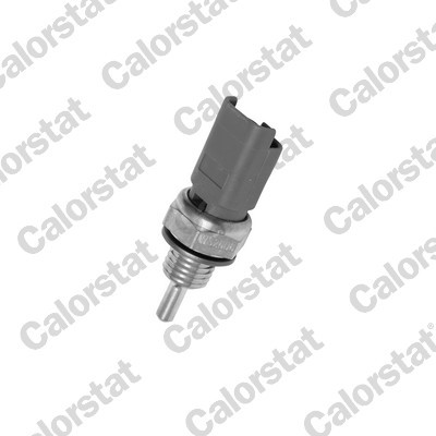 CALORSTAT by Vernet WS2606 EAN: 3531650022113.