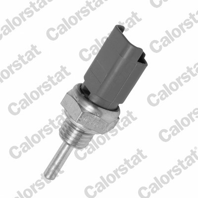 CALORSTAT by Vernet WS2633 EAN: 3531650021963.