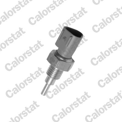CALORSTAT by Vernet WS2938 EAN: 3531650034789.