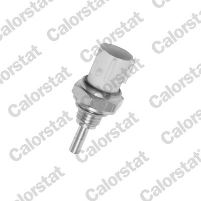CALORSTAT by Vernet WS3010 EAN: 3531650030675.
