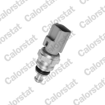 CALORSTAT by Vernet WS3038 EAN: 3531650033409.