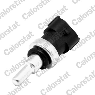 CALORSTAT by Vernet WS3046 EAN: 3531650033423.