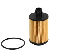 SCT - MANNOL SH 4066 P