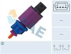 FAE 24909