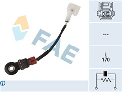 FAE 60252