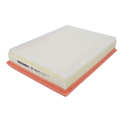FILTRON AP 051/5 EAN: 5904608060518.