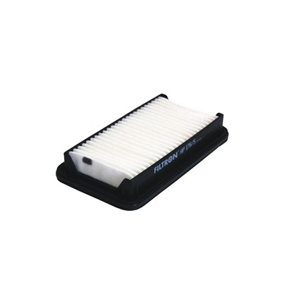FILTRON AP 176/5 EAN: 5904608061768.