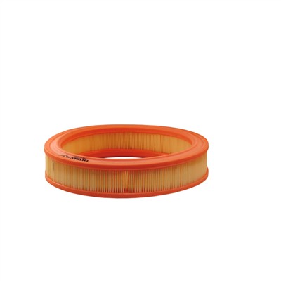 FILTRON AR 255 EAN: 5904608002556.