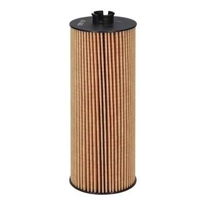 FILTRON OE 651/2 EAN: 5904608036513.