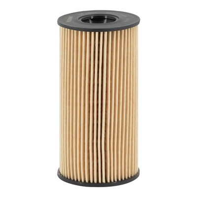 FILTRON OE 666/2 EAN: 5904608036667.