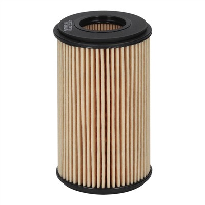 FILTRON OE 666 EAN: 5904608006660.