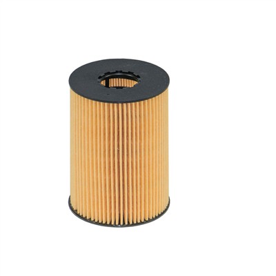 FILTRON OE 669/1 EAN: 5904608026699.